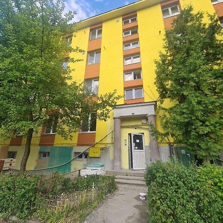 Mural Art Apartament Petrozsény Kültér fotó