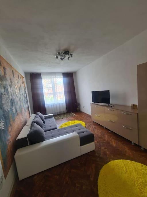 Mural Art Apartament Petrozsény Kültér fotó